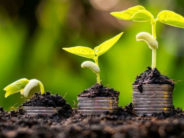 Azərbaycanda kənd təsərrüfatına ayrılan subsidiyaların effektivliyinin qiymətləndirilməsi